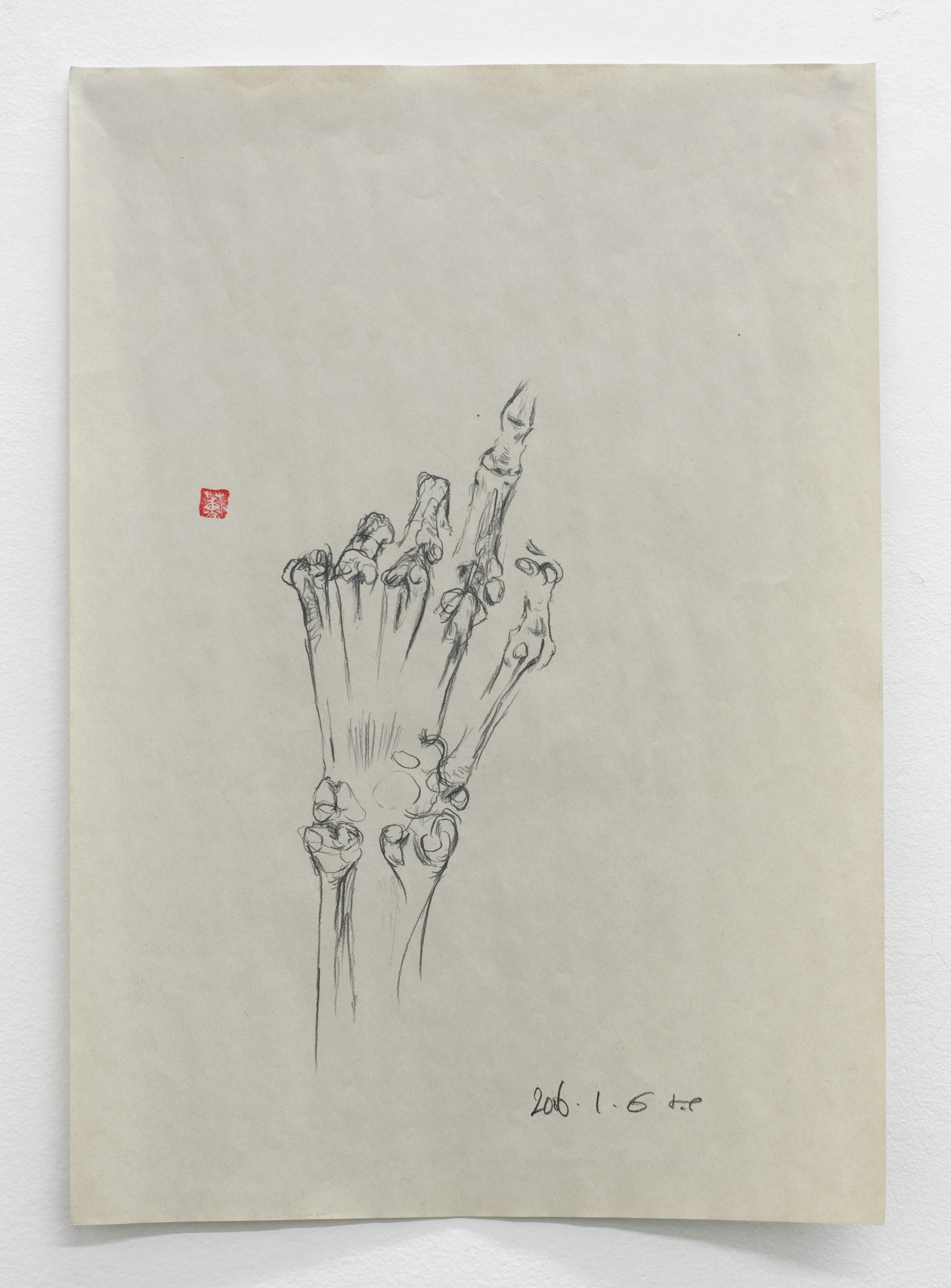 Hand Bones 2006.01.06 (2006)
Pencil on paper. 14.25 x 10.15 inches, 36.3 x 25.8 cm
